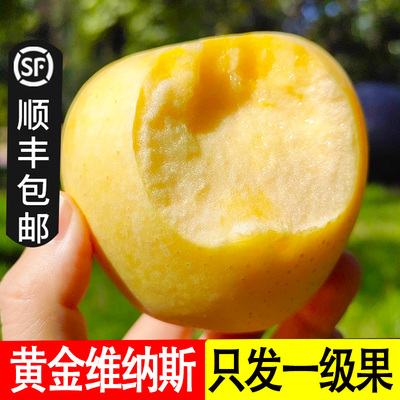 维纳斯黄金苹果纯甜无酸果香浓郁
