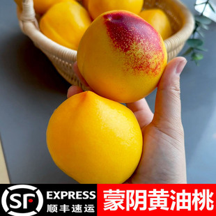 黄油桃新鲜水果整箱当季山东蒙阴黄桃黄金油桃桃子新鲜黄心黄肉