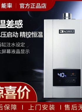 能率 JSQ31-E3/JD01恒温燃气热水器防冻强排家用天然气16/13升