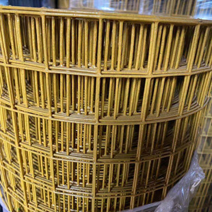 养殖涂塑荷兰网 硬塑包胶铁丝网 池塘果园防护围栏网厂家丝网批发