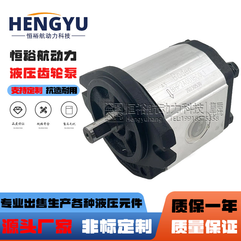 博顿液压泵Boden齿轮泵BKP0.5 BKP1 BAP1B0 BHP2 BAP2 BAP1A0油泵