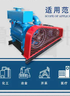 2BEA-103系列水环油环式真空泵 真空泵维护修理品质保障售后无忧