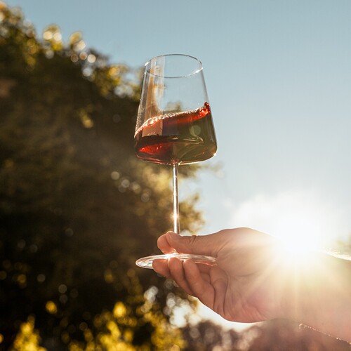 德国水晶高脚杯红酒杯葡萄酒杯