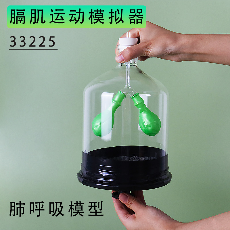 肺呼吸模型材料包膈肌运动模拟器肺与外界的气体交换初中生物装置实验器材制作人体肺部感受呼吸系统器官教具