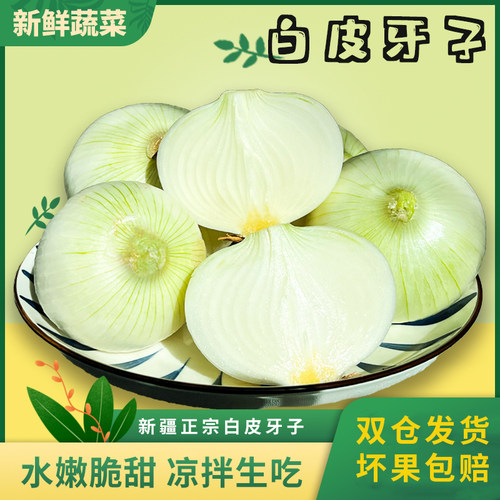 新疆特产正宗新鲜白洋葱皮牙子