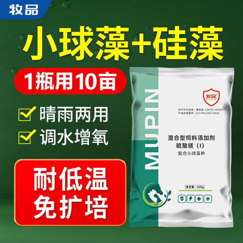 小球藻种水产养殖肥水培藻
