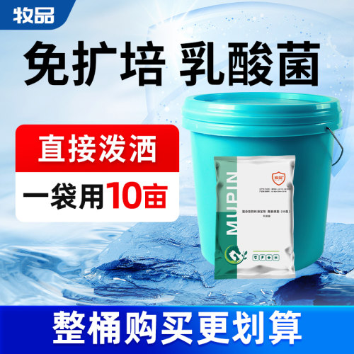 牧品乳酸菌浓缩粉水产养殖降ph值