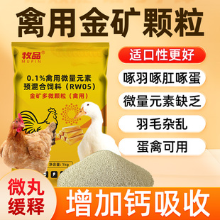 禽类金矿多维颗粒蛋禽专用多产改善蛋壳质量防异食延长产蛋抗应激