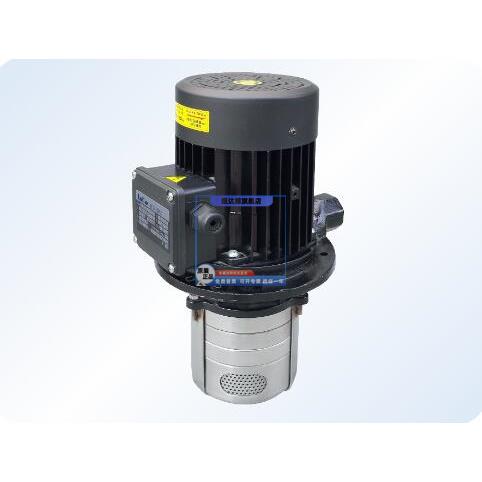Luikar睿嘉Rocoi洛凯水泵LDPB2V-30-TP 三相立式多级离心泵机床泵