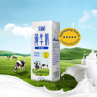 广西石埠养力纯牛奶200ml*12盒整箱儿童学生老年人营养早餐包邮