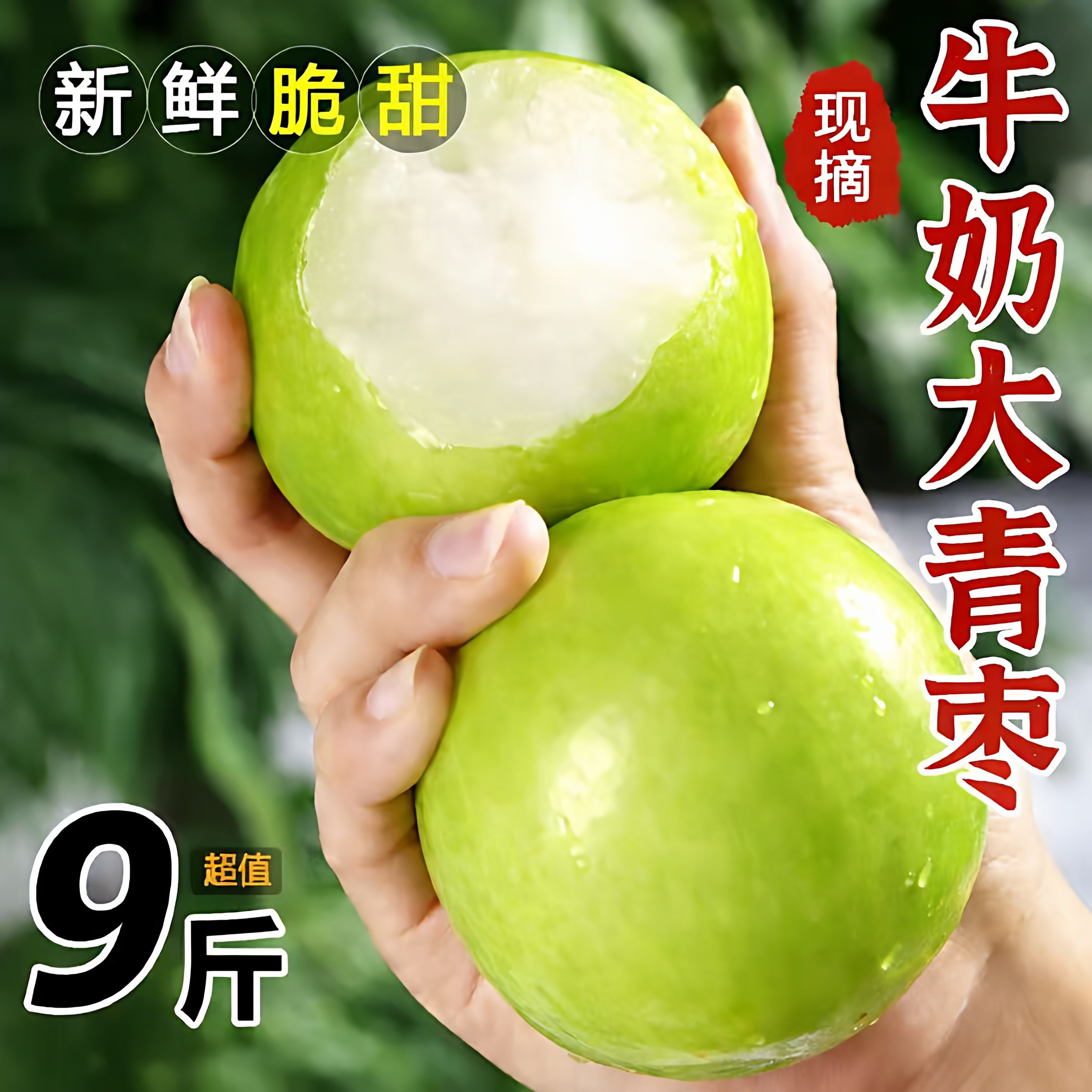 福建牛奶青枣苹果枣新鲜脆甜当季水果10斤装现摘现发孕妇新鲜水果,水产肉类/新鲜蔬果/熟食,枣,淘宝优惠券,粉丝福利购,淘宝优惠卷