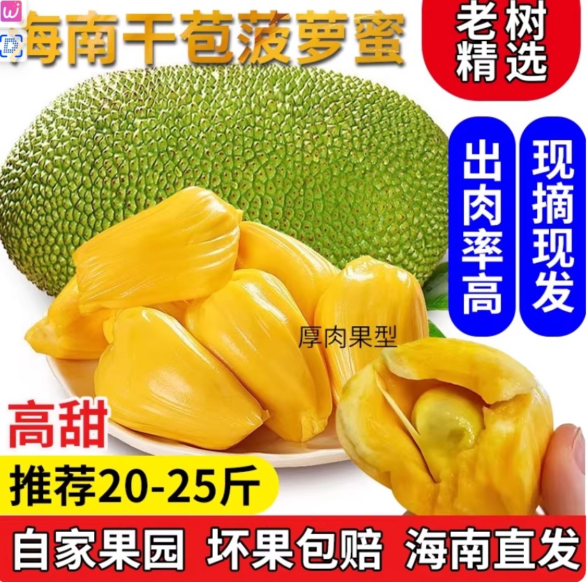 海南黄肉菠萝蜜新鲜水果波罗当季红三亚特产一整个干包老树一级果,水产肉类/新鲜蔬果/熟食,菠萝蜜,淘宝优惠券,粉丝福利购,淘宝优惠卷