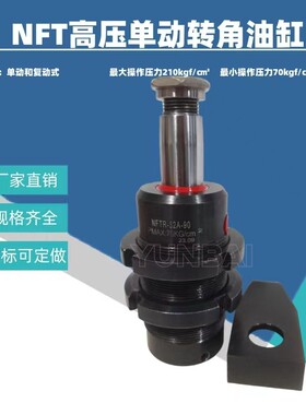 NFS/NDS/NFT/NDT25/32/40高压单动/复动转角油缸液压夹紧油缸