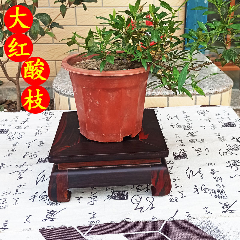 老挝大红酸枝花盆底座实木
