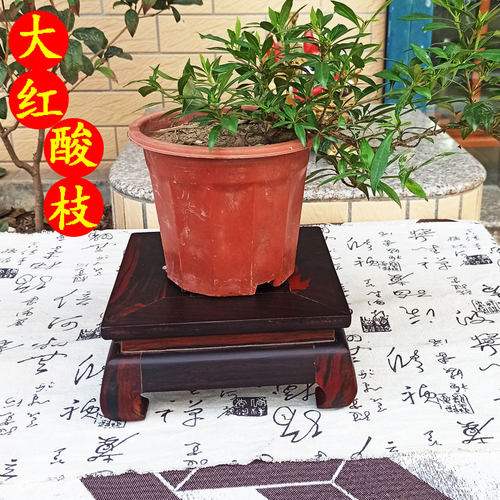 老挝大红酸枝花盆底座实木