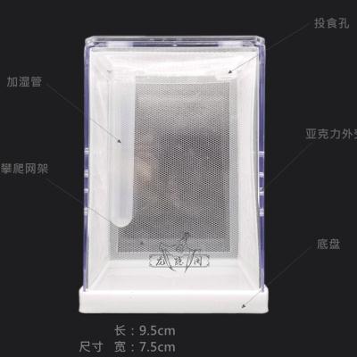 螽斯生态箱螳螂竹蛉鸣虫笼子跳蛛甲虫微景观实木带照明造景饲养盒