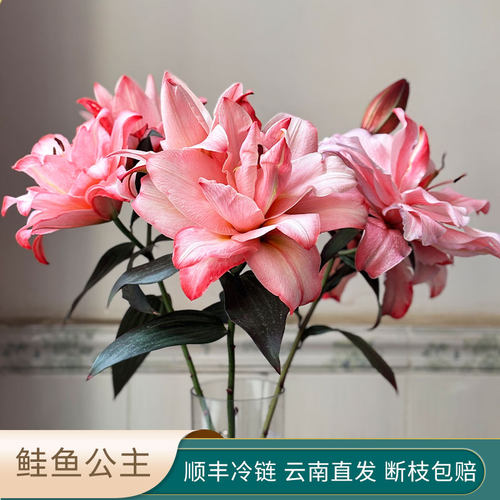 高品质鲑鱼公主重瓣香水百合鲜花