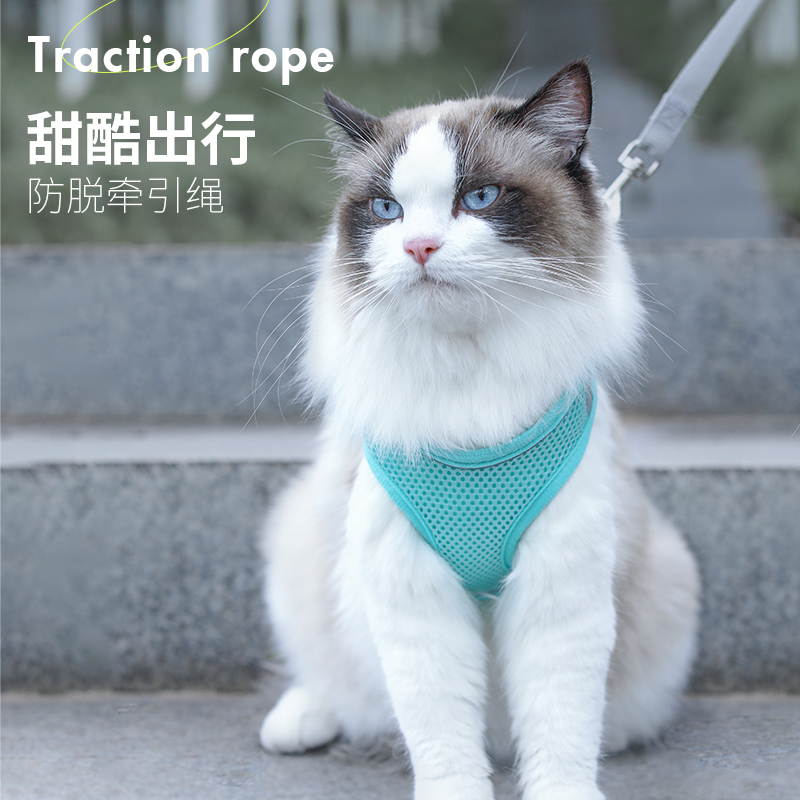 猫咪牵引绳防挣脱溜猫绳春夏外出背心式胸背带狗狗小型犬用品