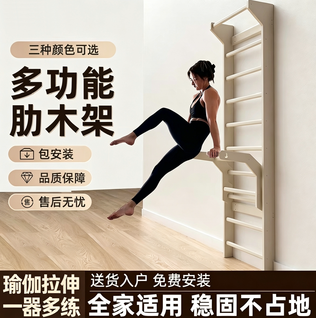 娜塔莉娅正版家用肋木架多功能训练单双杠室内上墙引体向上健身架