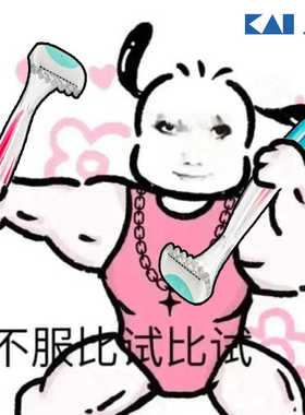 私密发货！日本KAI贝印比基尼刮毛刀私处专用腋下全身脱毛剃毛刀