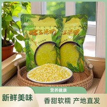 辛家裕甜糯玉米碴东北青稞玉米碴芸豆玉米楂小碴子玉米糁非黄金米