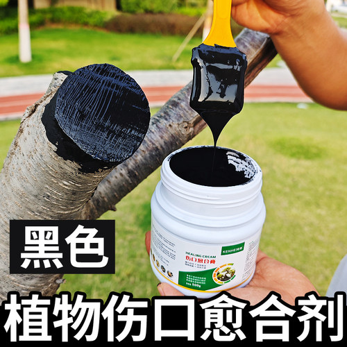 黑色植物盆景伤口树皮伤口愈合剂
