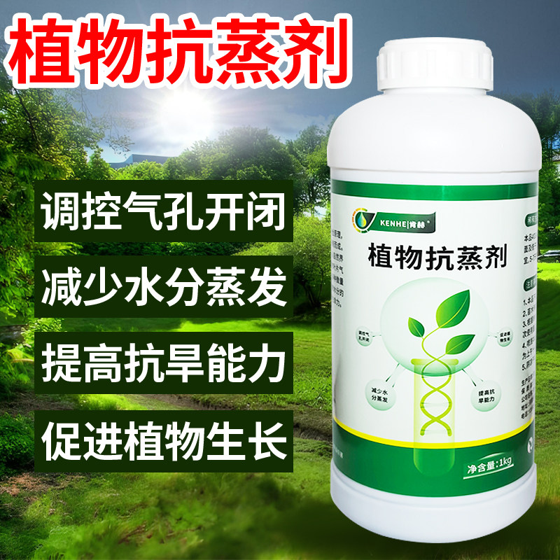 植物蒸腾抑制剂树木花卉抗蒸腾液防失水减少水蒸发大树移栽保水剂