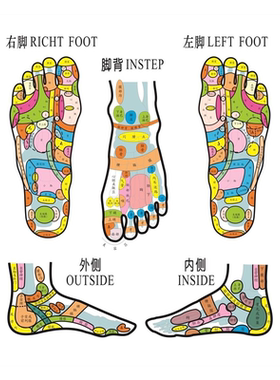 右脚RICHTFOOT左脚LEFTFOOT脚背INSTEP外侧OUTSIDE海报展板