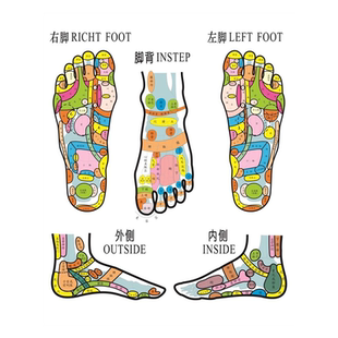 右脚RICHTFOOT左脚LEFTFOOT脚背INSTEP外侧OUTSIDE海报展板