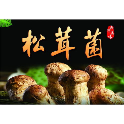 食用菌黑松露松茸山珍美味美食海报画写真PP背胶纸打印定制