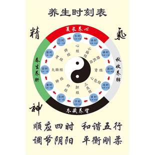 中医养生十二时辰养生时刻表四季养生贴画海报经络时间装饰画图片