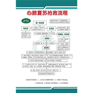 海报印制素材抢救流程展板心肺复苏流程表展板墙贴纸KT板