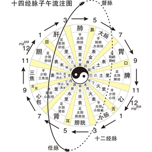 十四经脉子午流注图海报展板墙贴墙纸装饰画KT板