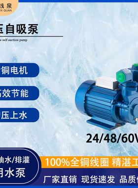高扬程24v增压泵无堵塞吸水抽水48/60v自吸泵排灌高楼供水抽水泵