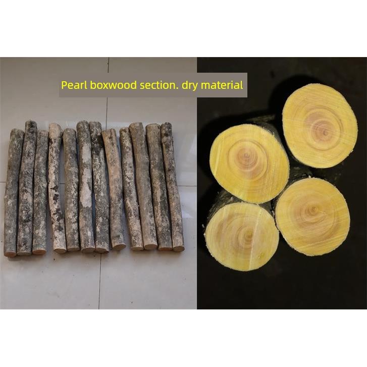 小叶黄杨木原木小叶珍珠黄杨木圆柱笔筒木旋转木雕木尺材料弹弓材