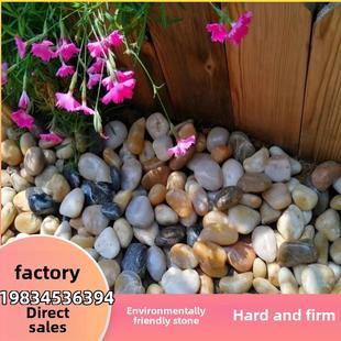 南京七彩鹅卵石铺装 大院园林景观 大院园林景观玉花石铺装