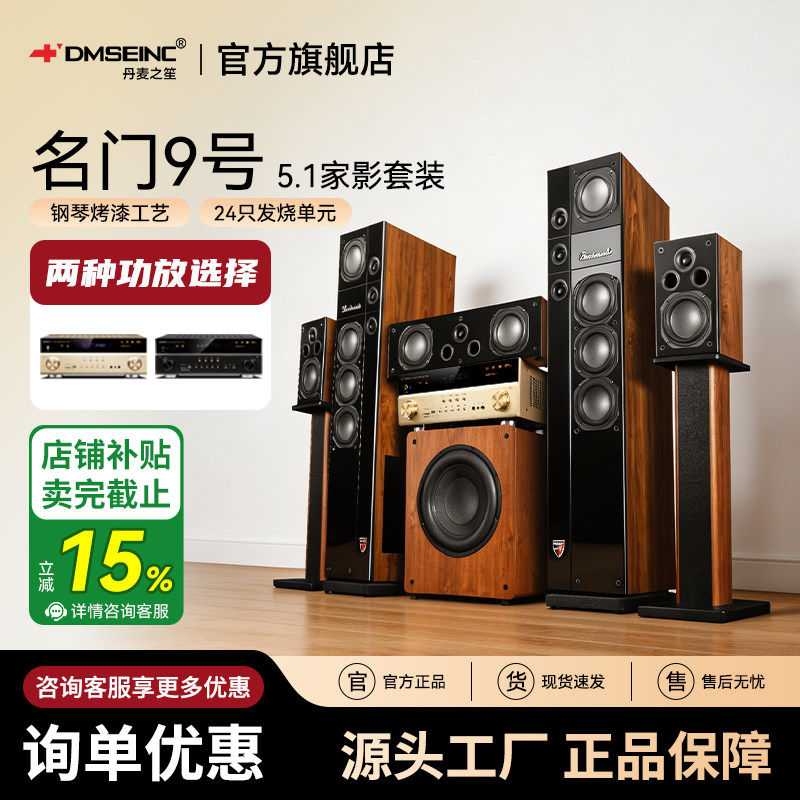 DMSEINC 名门9号5.1家庭影院音响套装家用KTV客厅无线环绕音箱