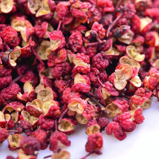 大凉山越西贡椒100克包邮