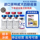 顺丰 英特威四联疫苗狗狗4联幼成犬犬瘟细小狗育苗进口宠必威狂犬