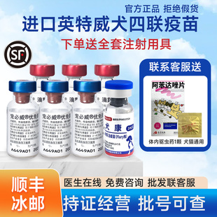 顺丰 英特威四联疫苗狗狗4联幼成犬犬瘟细小狗育苗进口宠必威狂犬