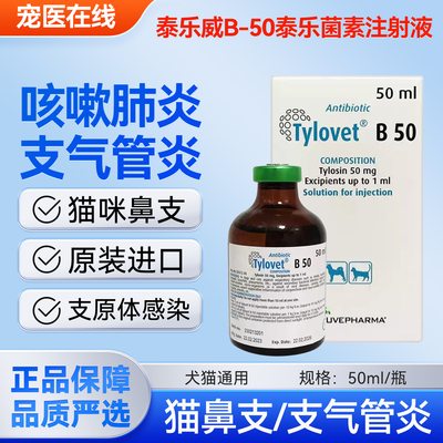 猫鼻支肺炎感冒呼吸道感染支原体