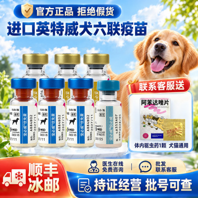 英特威进口六联疫苗犬用幼犬成犬