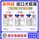 顺丰进口英特威犬用二联四联六联疫苗狗幼犬成犬宠物狗狗通用疫苗