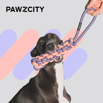 PAWZCITY绳结互动中小型玩具