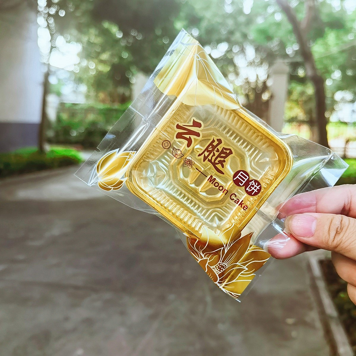 透明云腿月饼包装袋50克75克云腿月饼中封/机封袋平口袋100个装