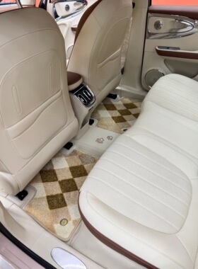 25款欧拉好猫汽车内饰脚垫芭蕾猫GT黑猫半包围高颜值脚垫免拆座椅