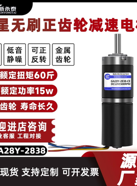 GA28Y-2838微型直流无刷减速电机12V24V调速行星齿轮小马达电动机