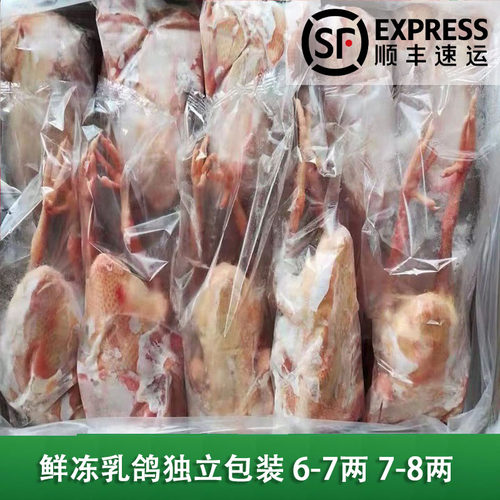 新鲜冷冻乳鸽纯干货酒店沙县食材