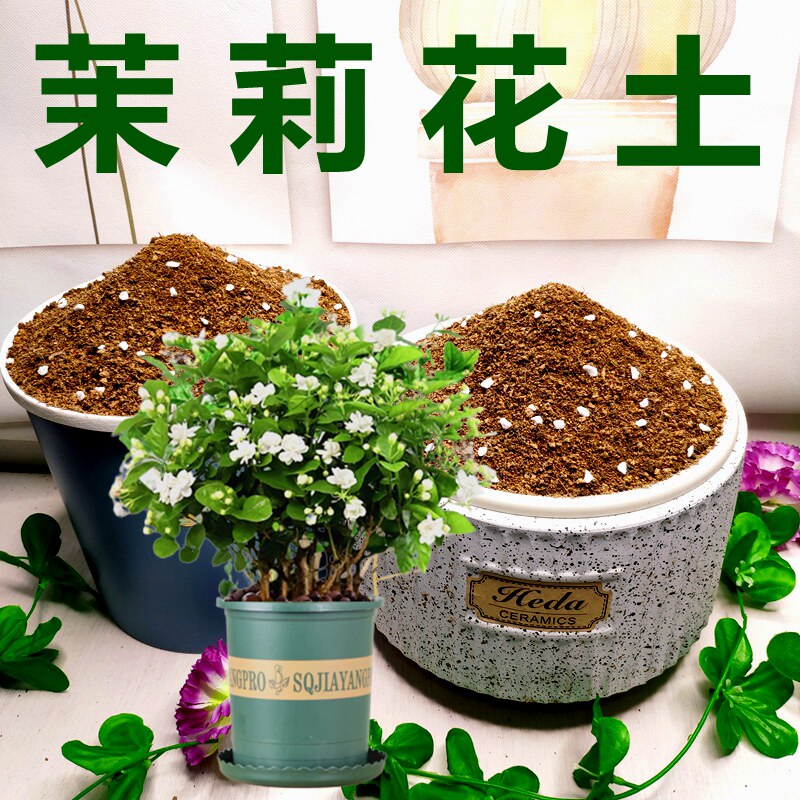 福建基地现配种植土！生根快！图片