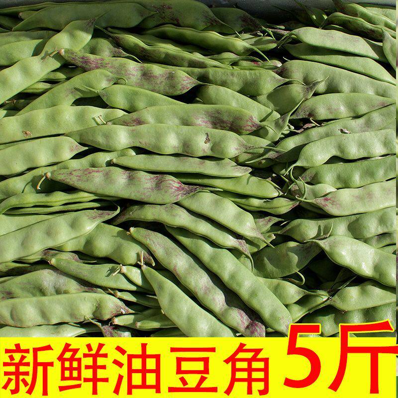 东北一点红油豆角正宗新鲜蔬菜九月青面豆角开锅烂现摘现发包邮顺